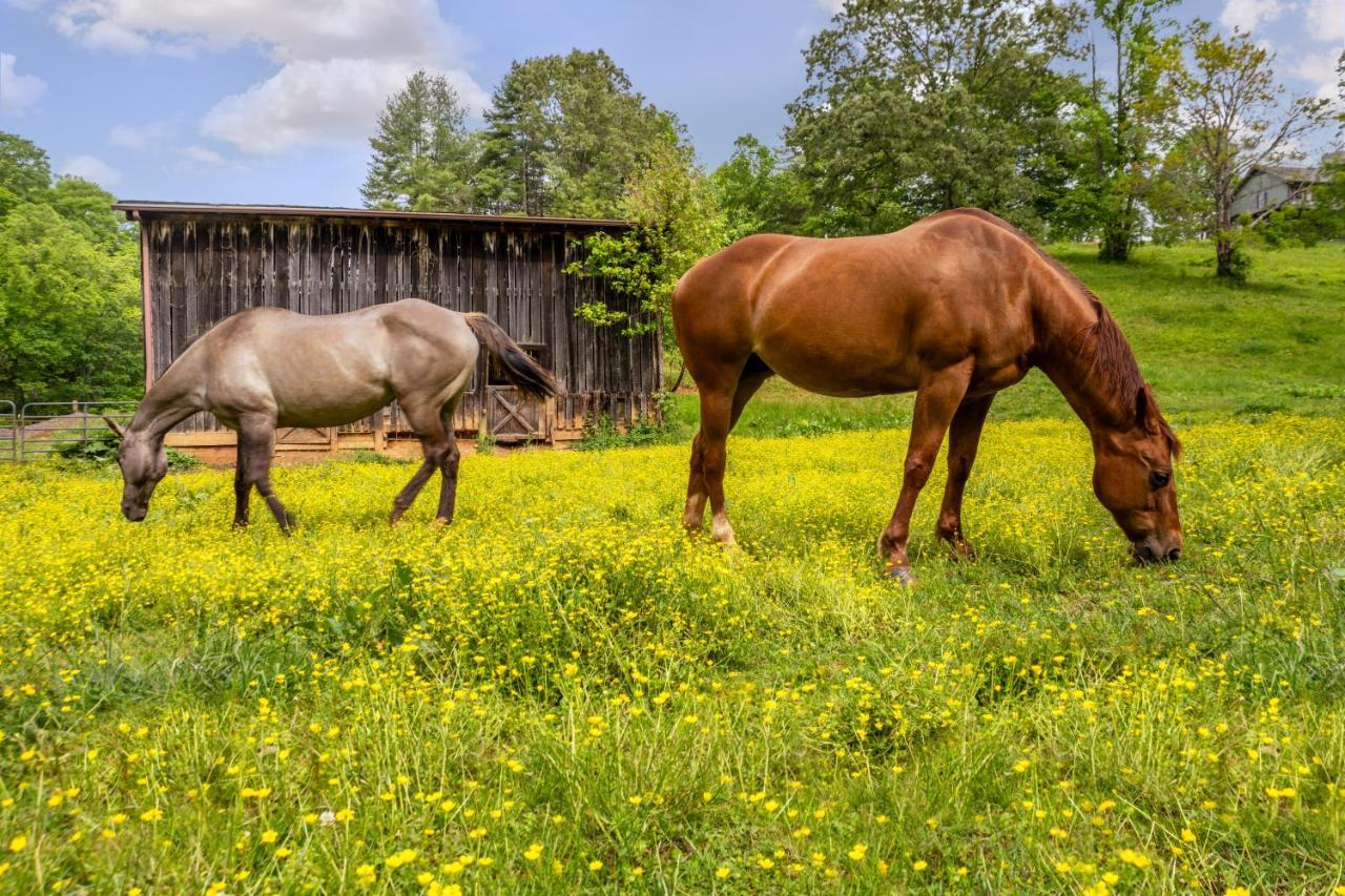The Inn At Amaris Farms Weaverville Buitenkant foto